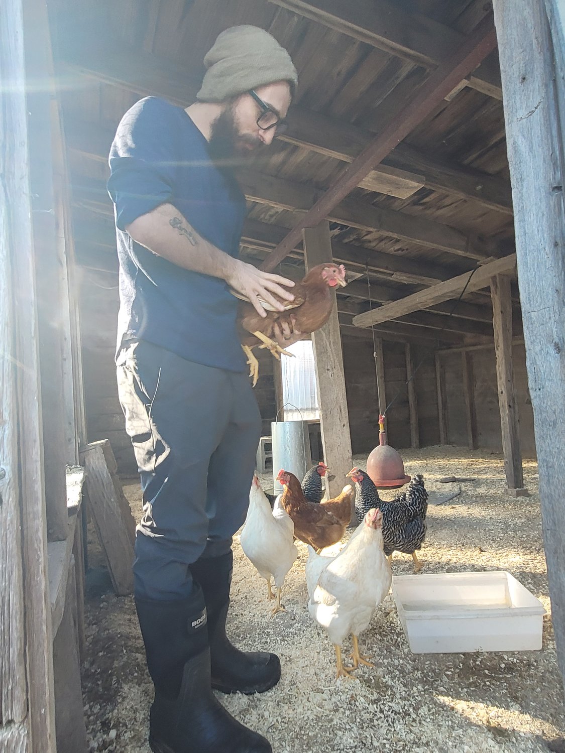 WHICH CAME FIRST: Adam Baffoni holds one of his six pet hens. He was gifted a half-dozen baby chicks by a few fraternity boys. The six chicks bloomed into two Rhode Island Reds, two Barred Rock hens and a pair of Leghorns.